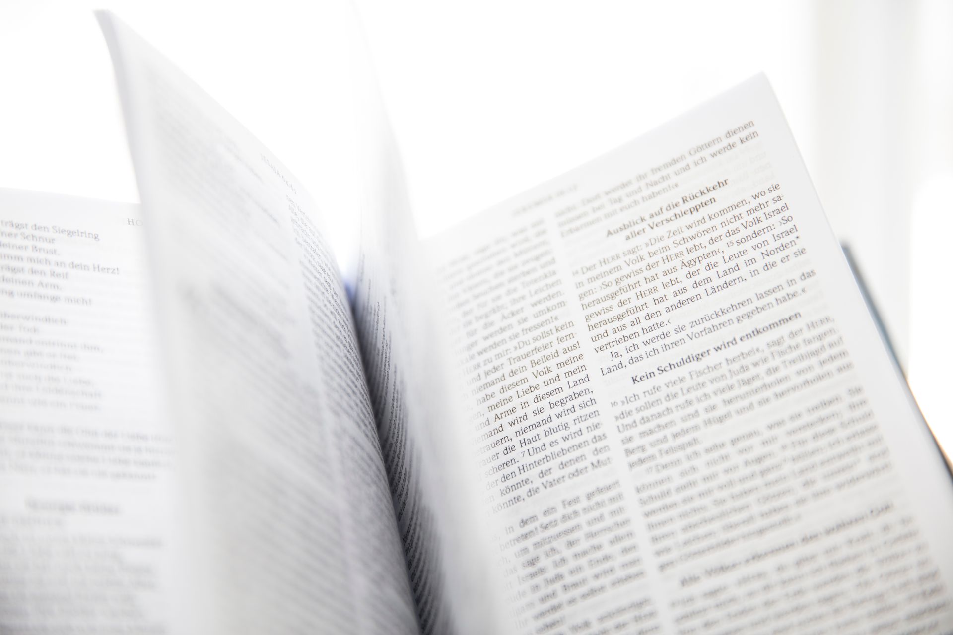 Open book with turning pages in natural light