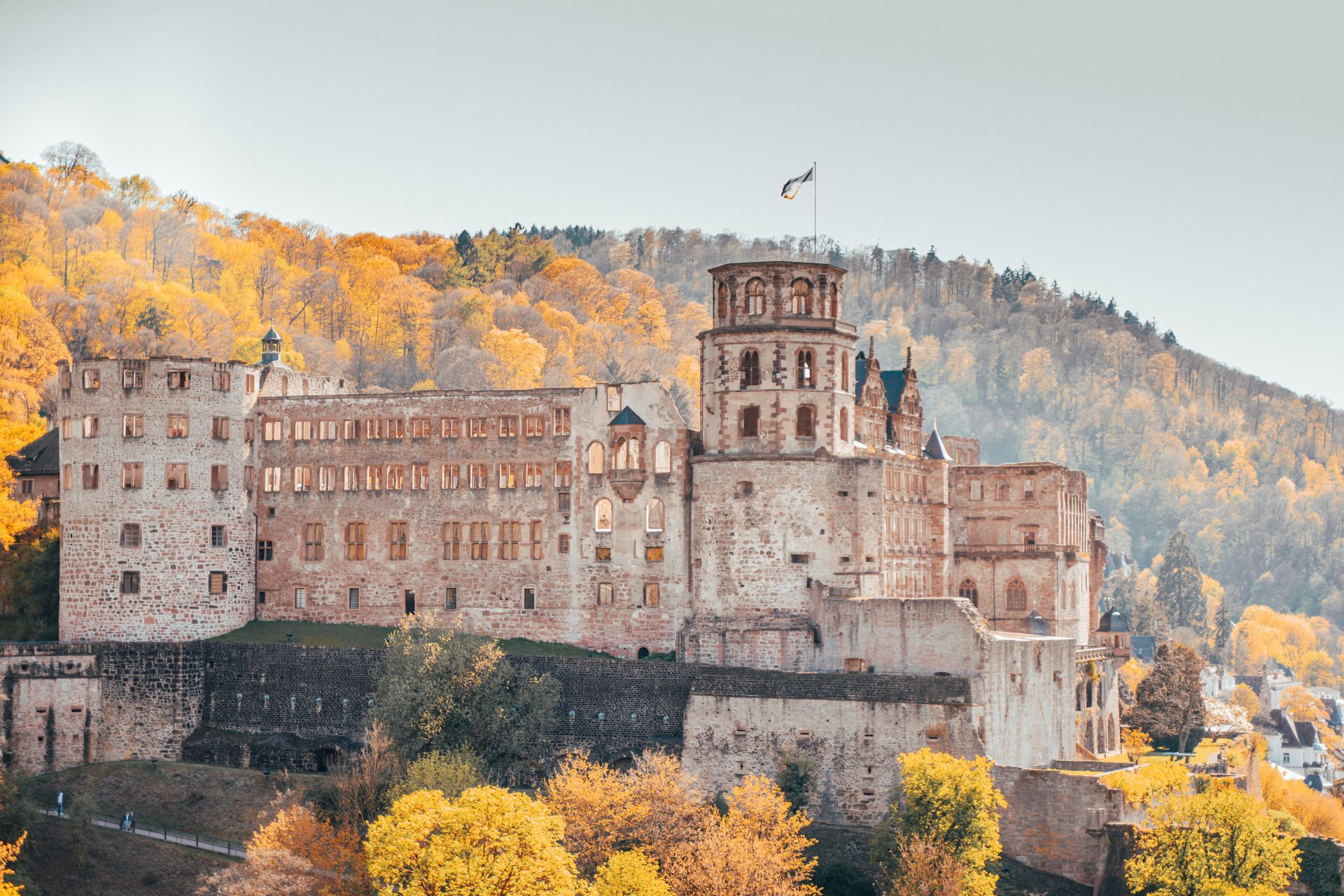 Heidelberg Castle surrounded by autumn foliage