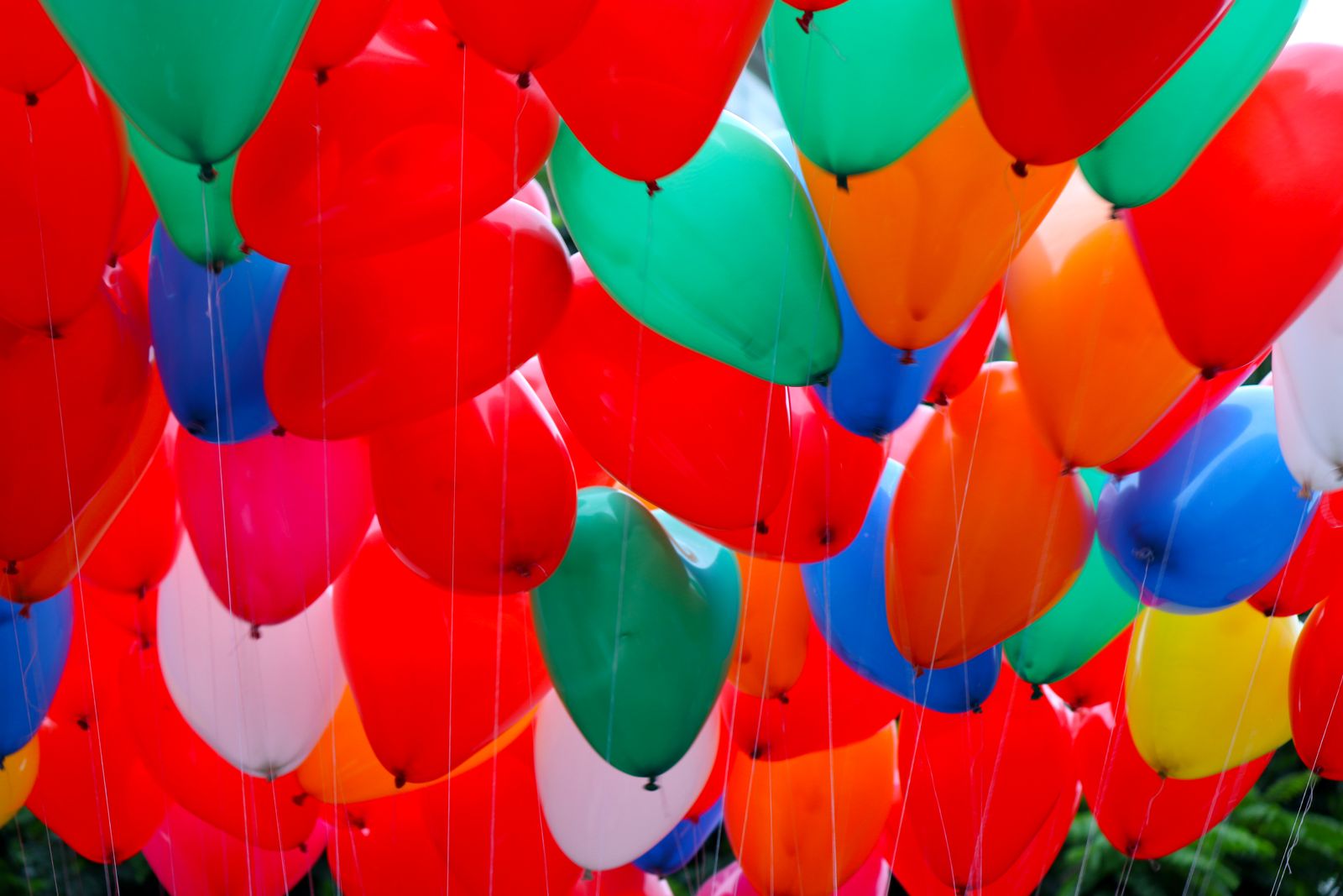 Colorful birthday balloons