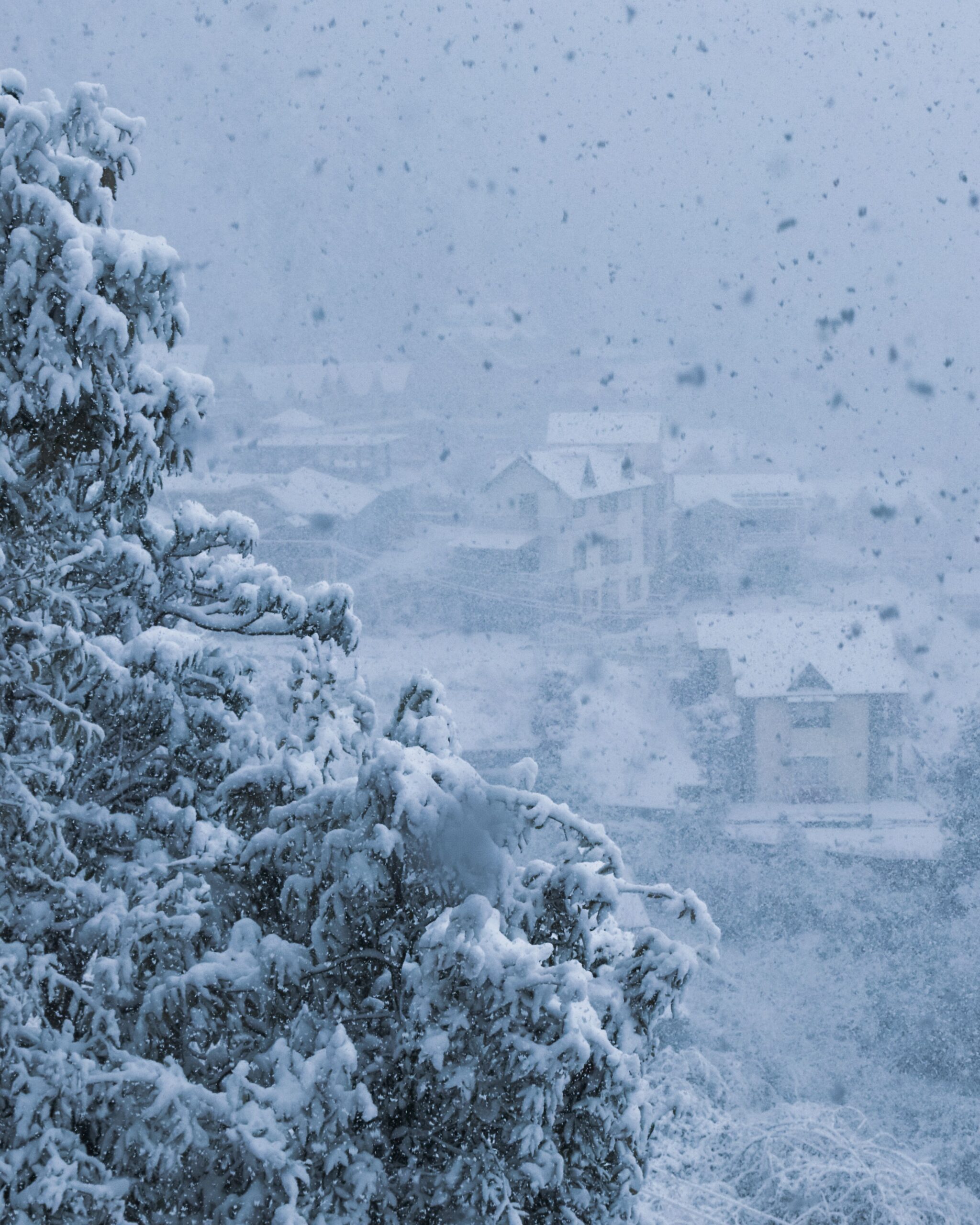 A tranquil winter landscape with snow-covered trees and houses, creating a serene atmosphere.