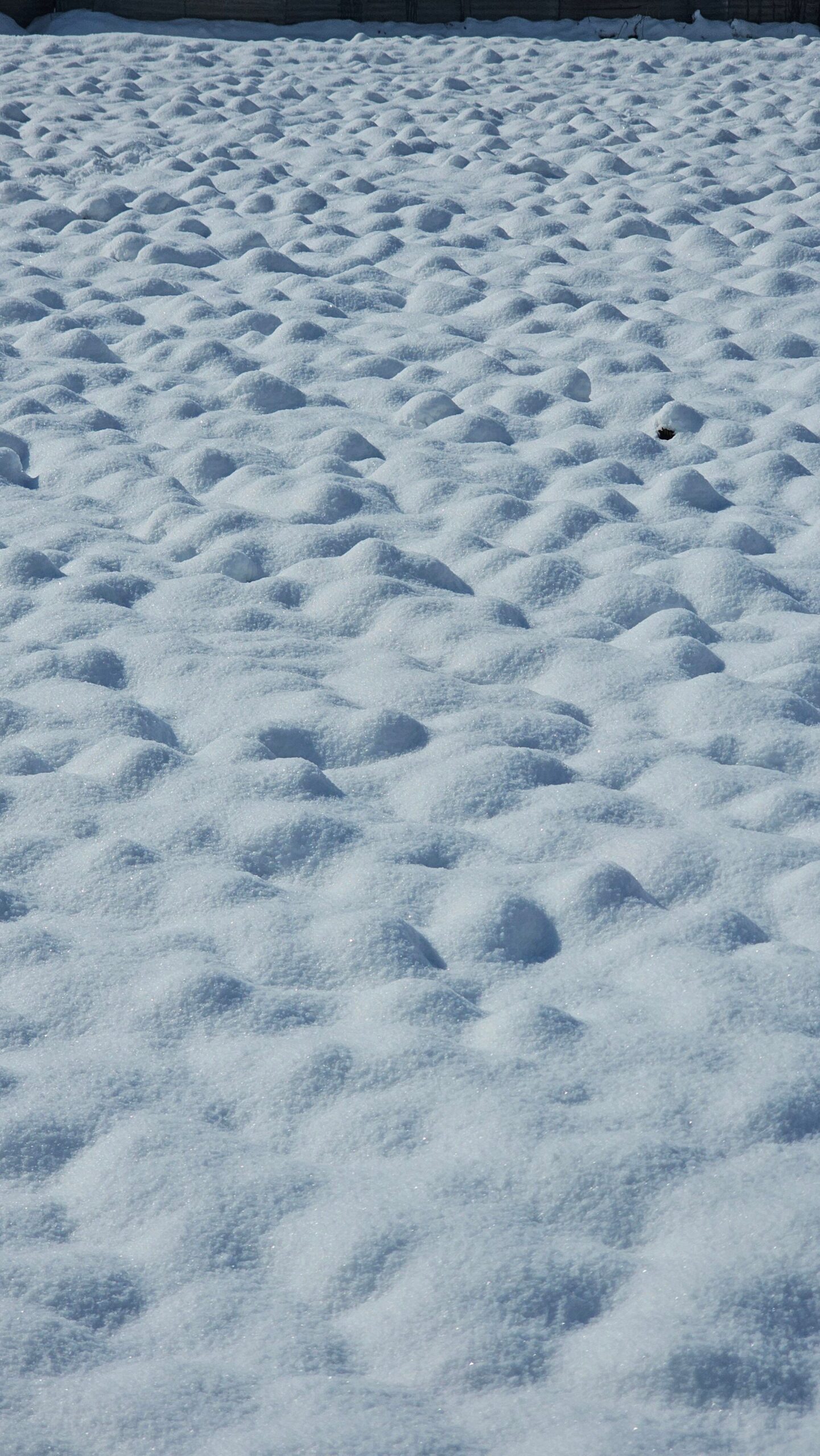 A tranquil snow-covered landscape showcasing nature's peaceful beauty in winter.