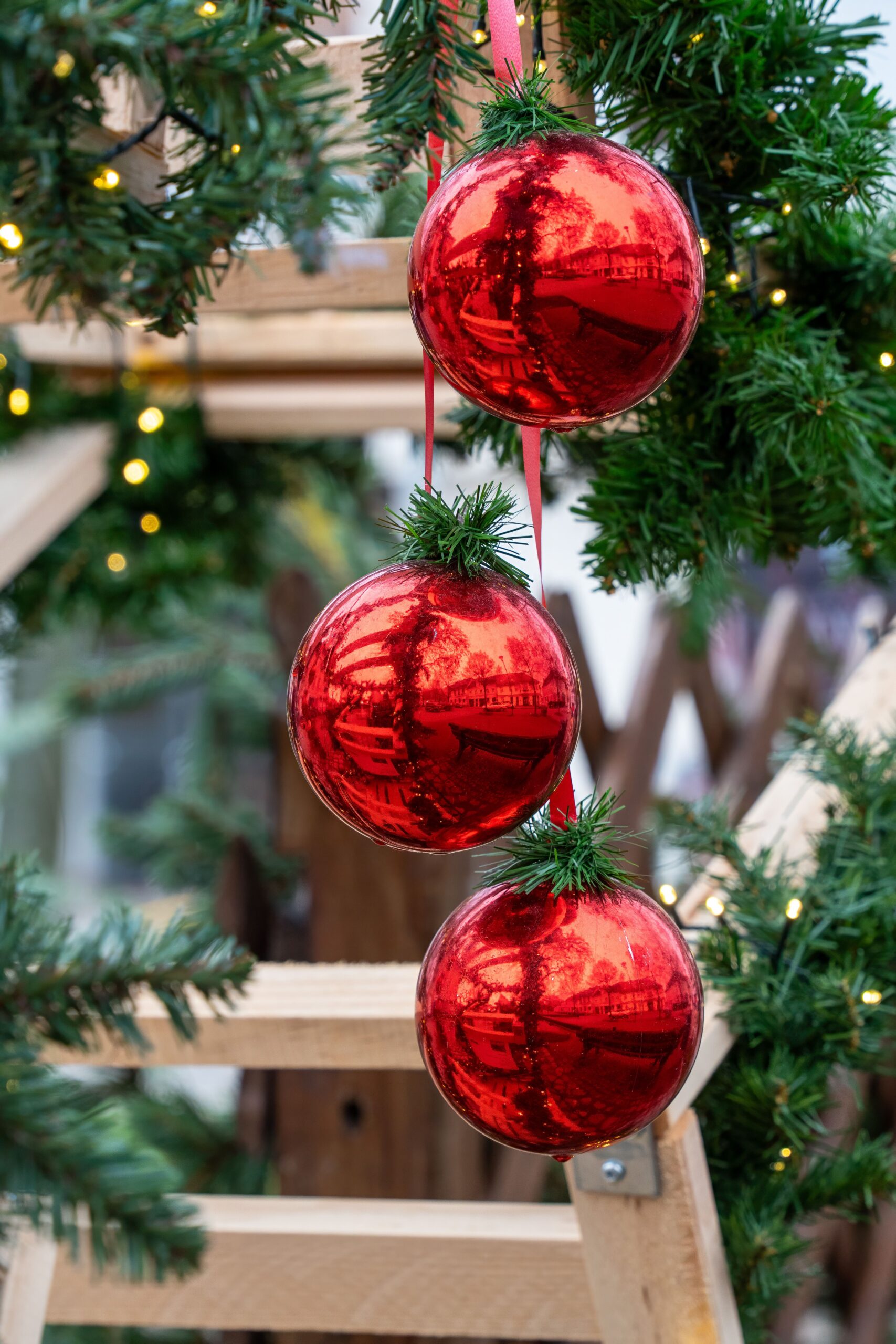 Red Christmas baubles hanging on tree branches
