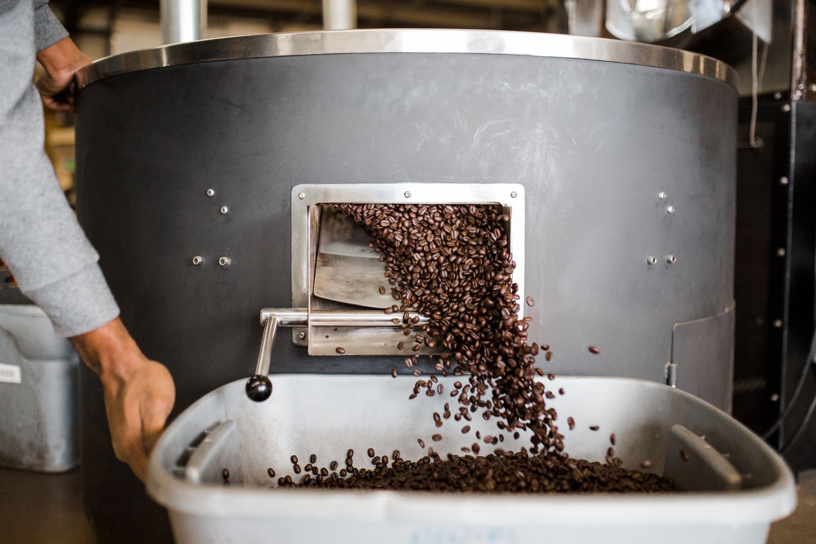 Coffee beans being poured from a roasting machine into a container during roasting
