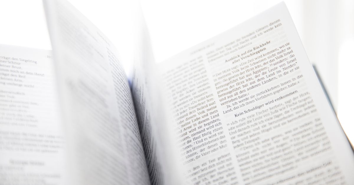 Open book with visible text and turning pages in natural light