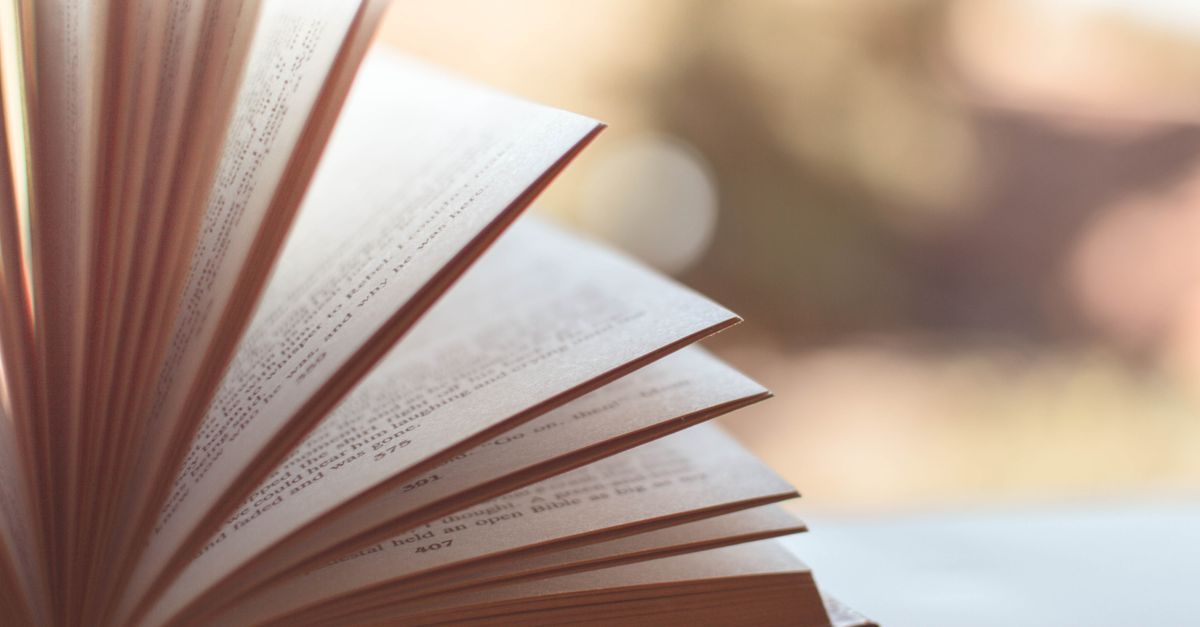 Open book with pages fanned out in soft light