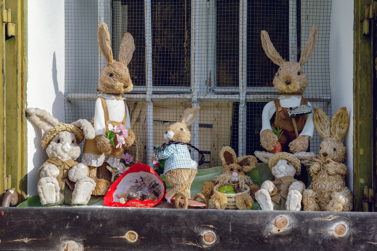 White rabbit with a purple Easter egg — der Osterhase