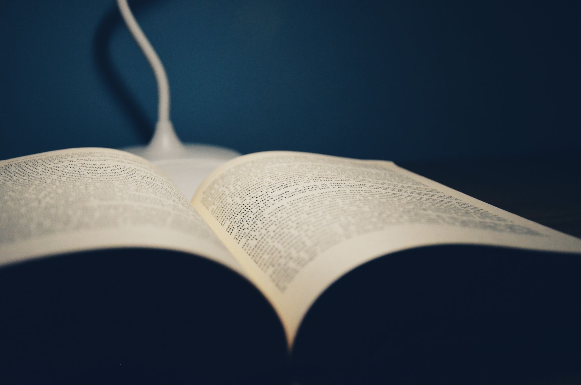 Open book on a table under a desk lamp, study atmosphere