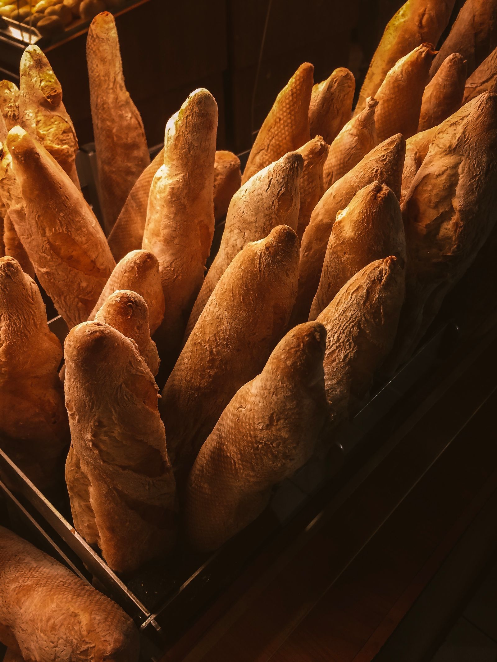Brown bread loaves on a stainless steel tray