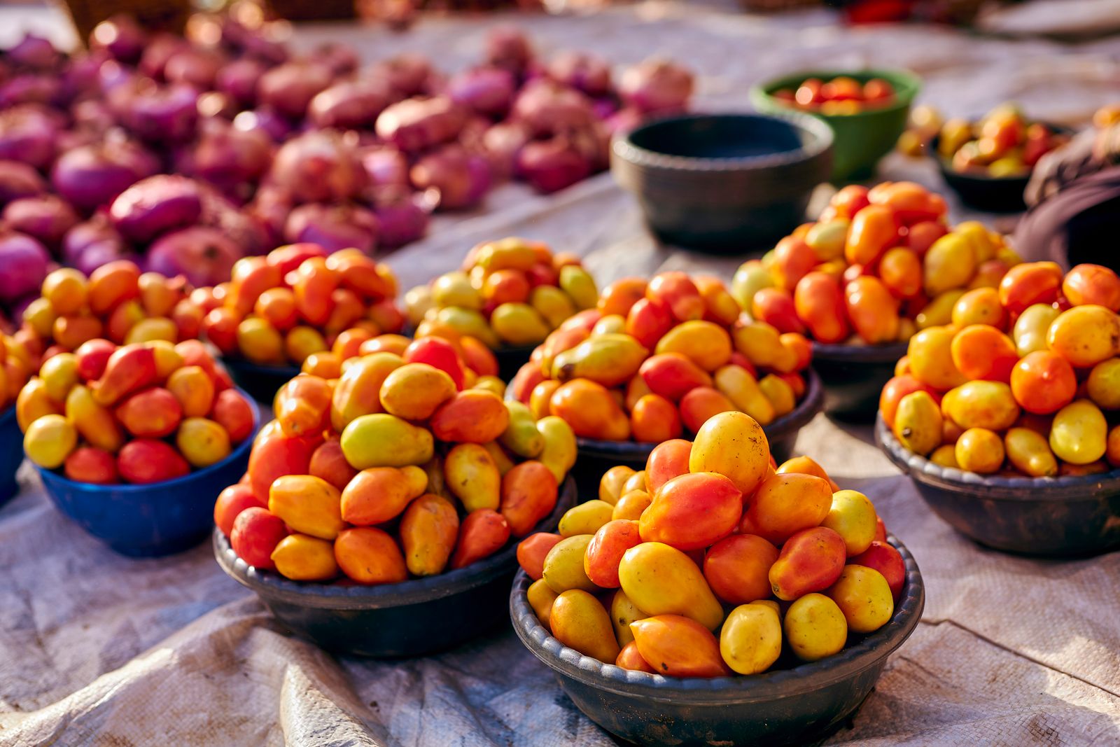 Colorful fresh produce at an outdoor market