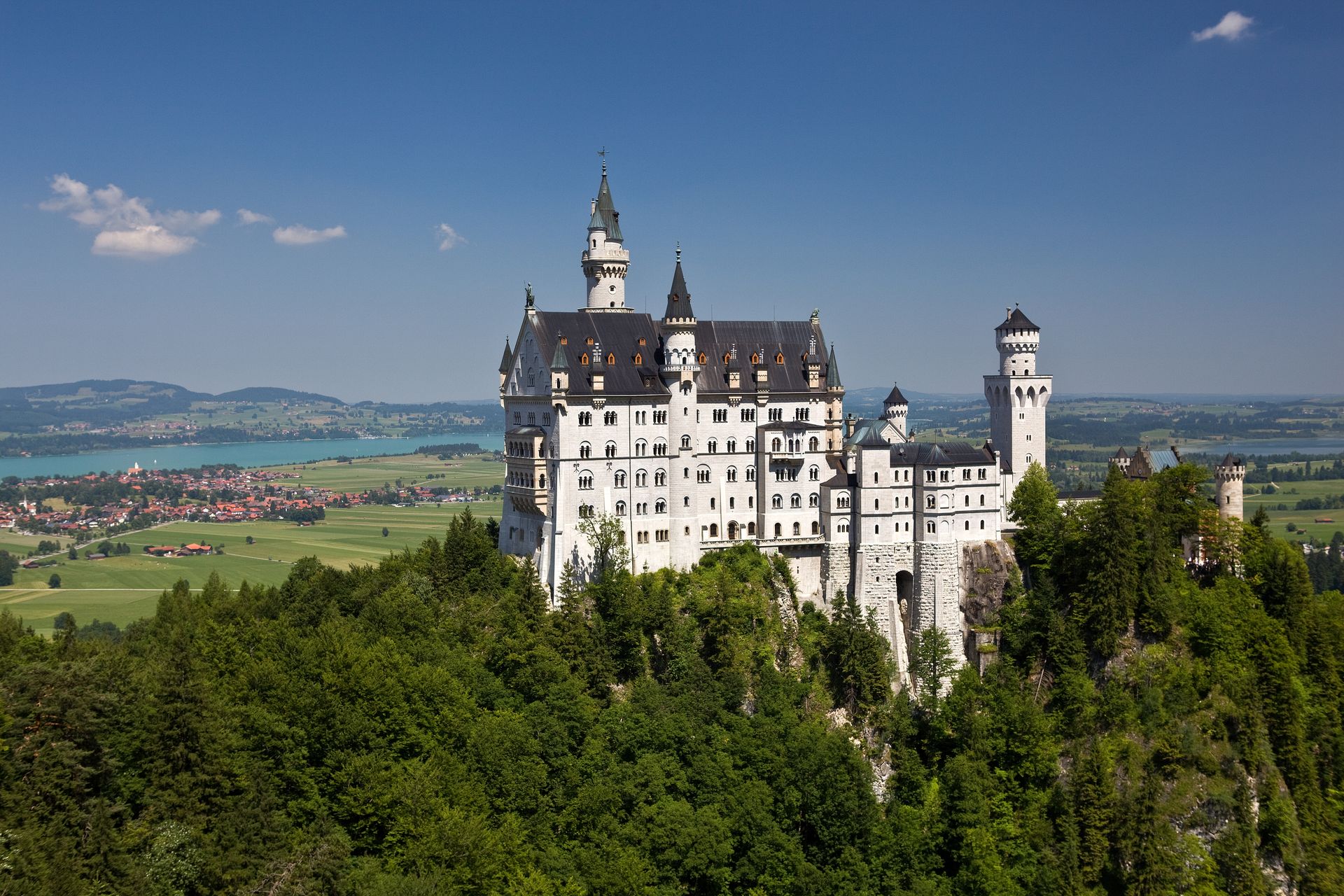 Neuschwanstein Castle in Bavaria surrounded by green forest