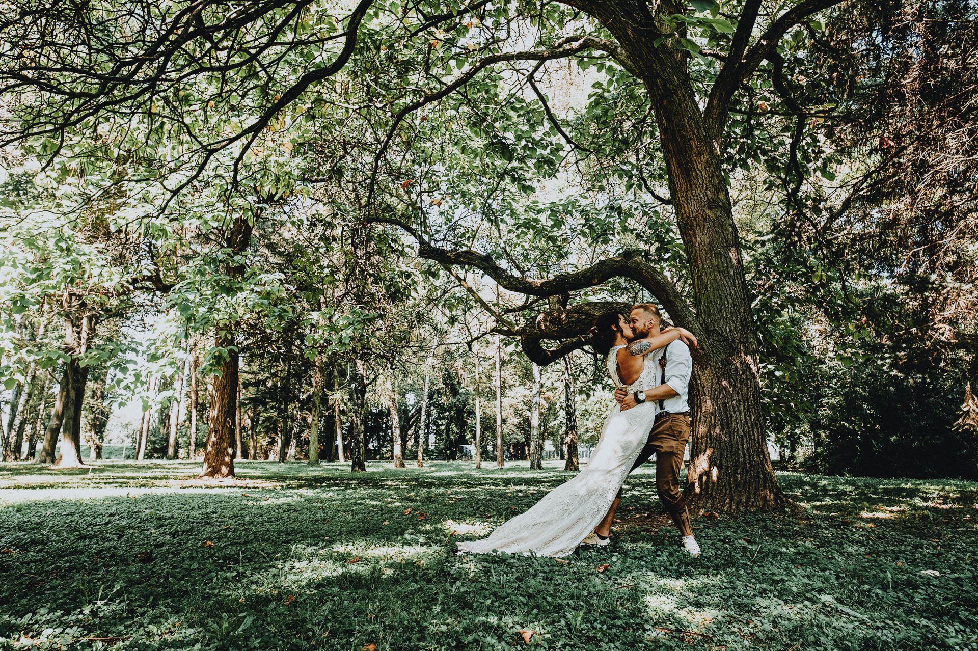 Couple kissing under a tree in a lush green park