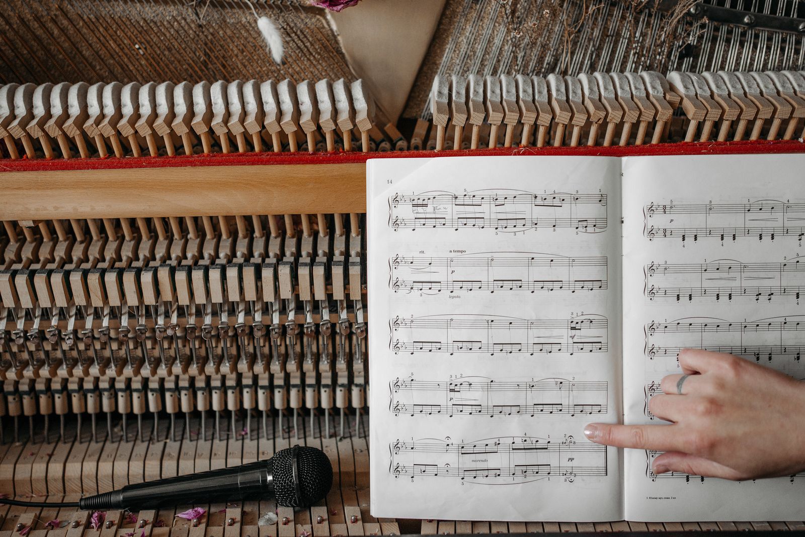 Open grand piano