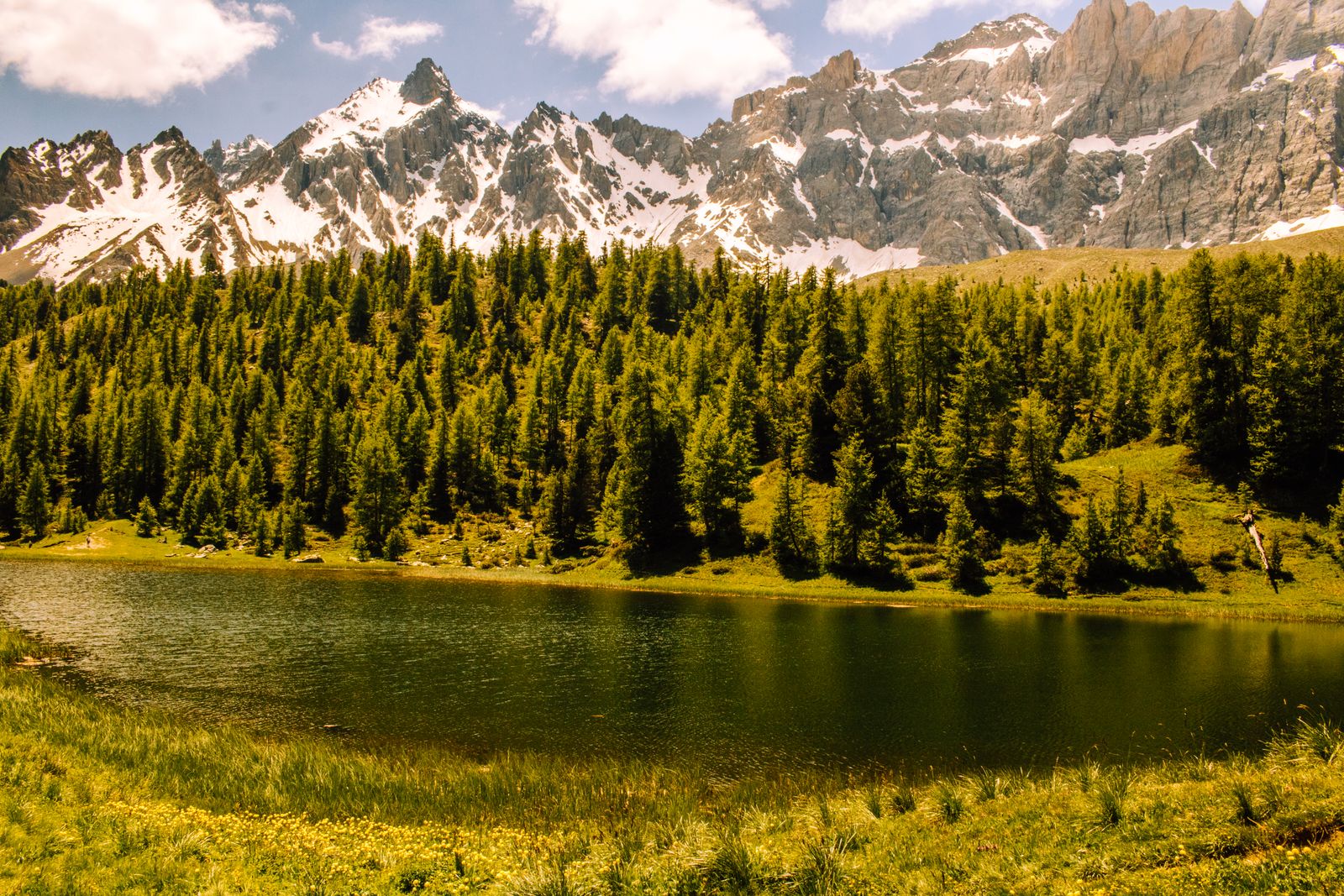 Alpine landscape with pine forest, lake and snow-capped peaks in Ceillac, France
