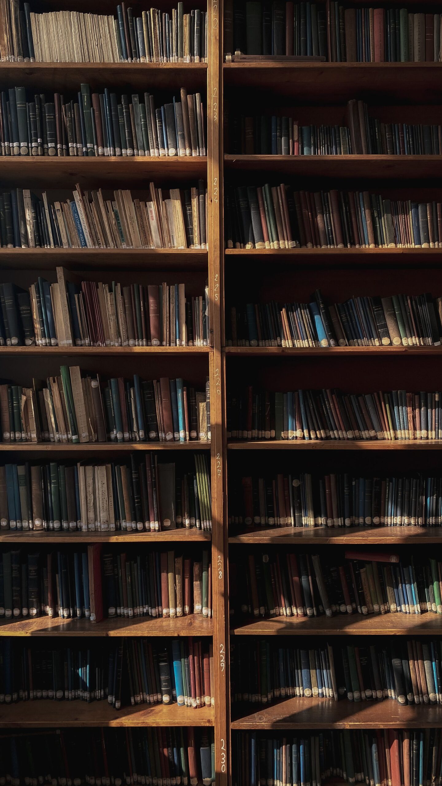 Rows of vintage books on wooden library shelves