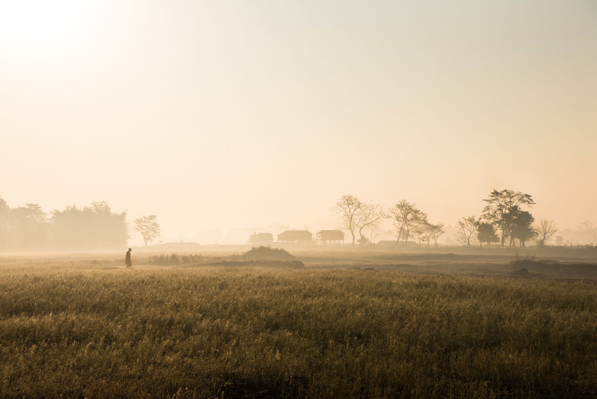Peaceful sunrise over a misty rural field