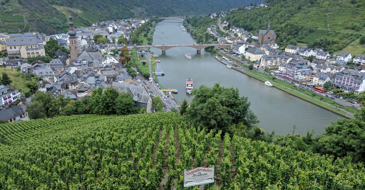 Vineyards and the river in Cochem on the Moselle