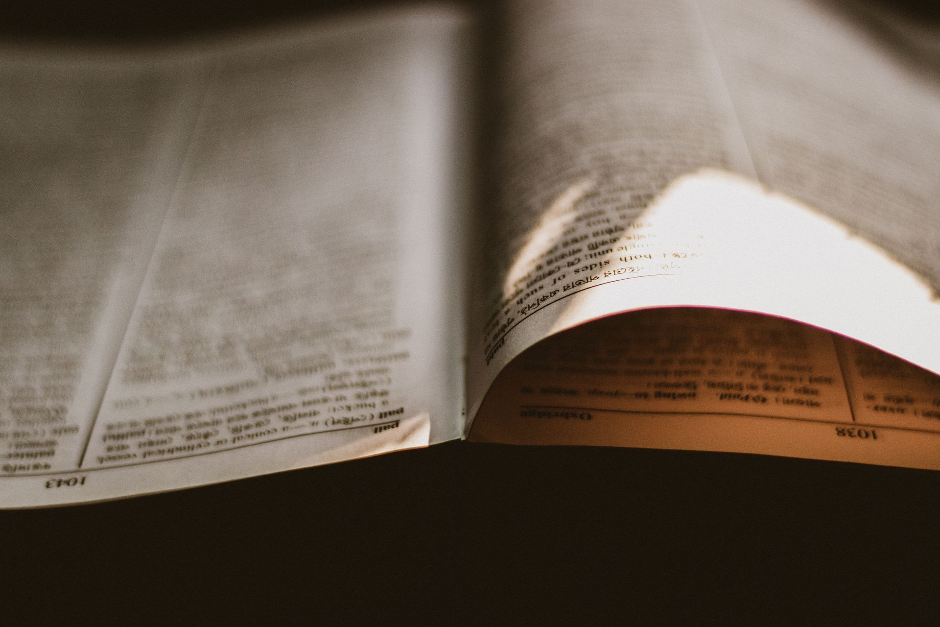 Close-up of book pages fanning out
