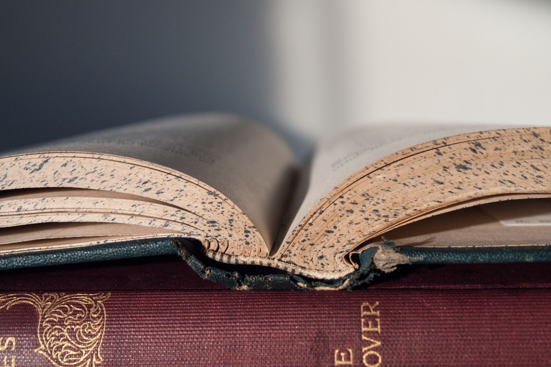 Vintage open book showing worn pages in close-up