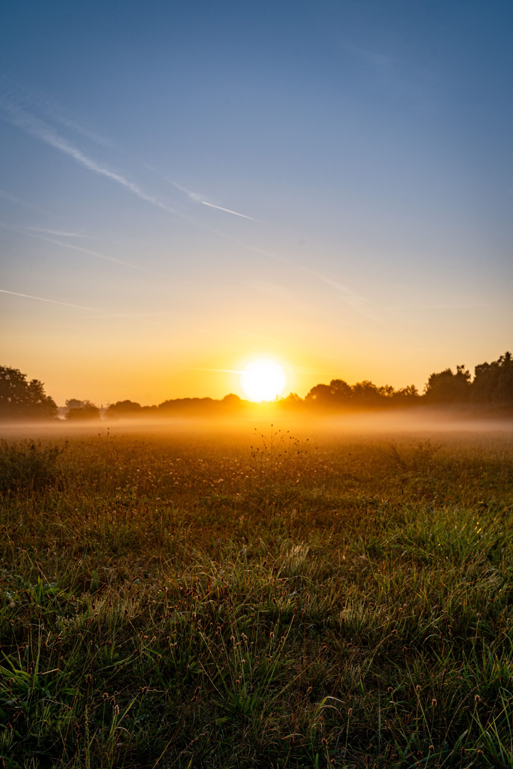 Sunrise glowing over a lush green spring field