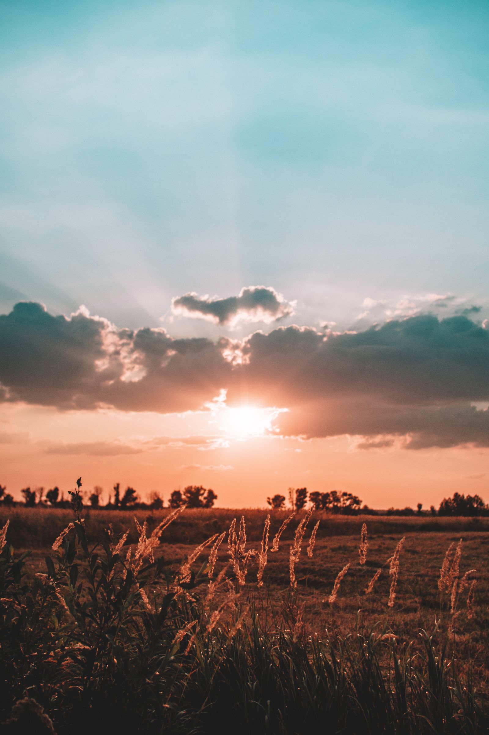 Sunset glowing over an open field