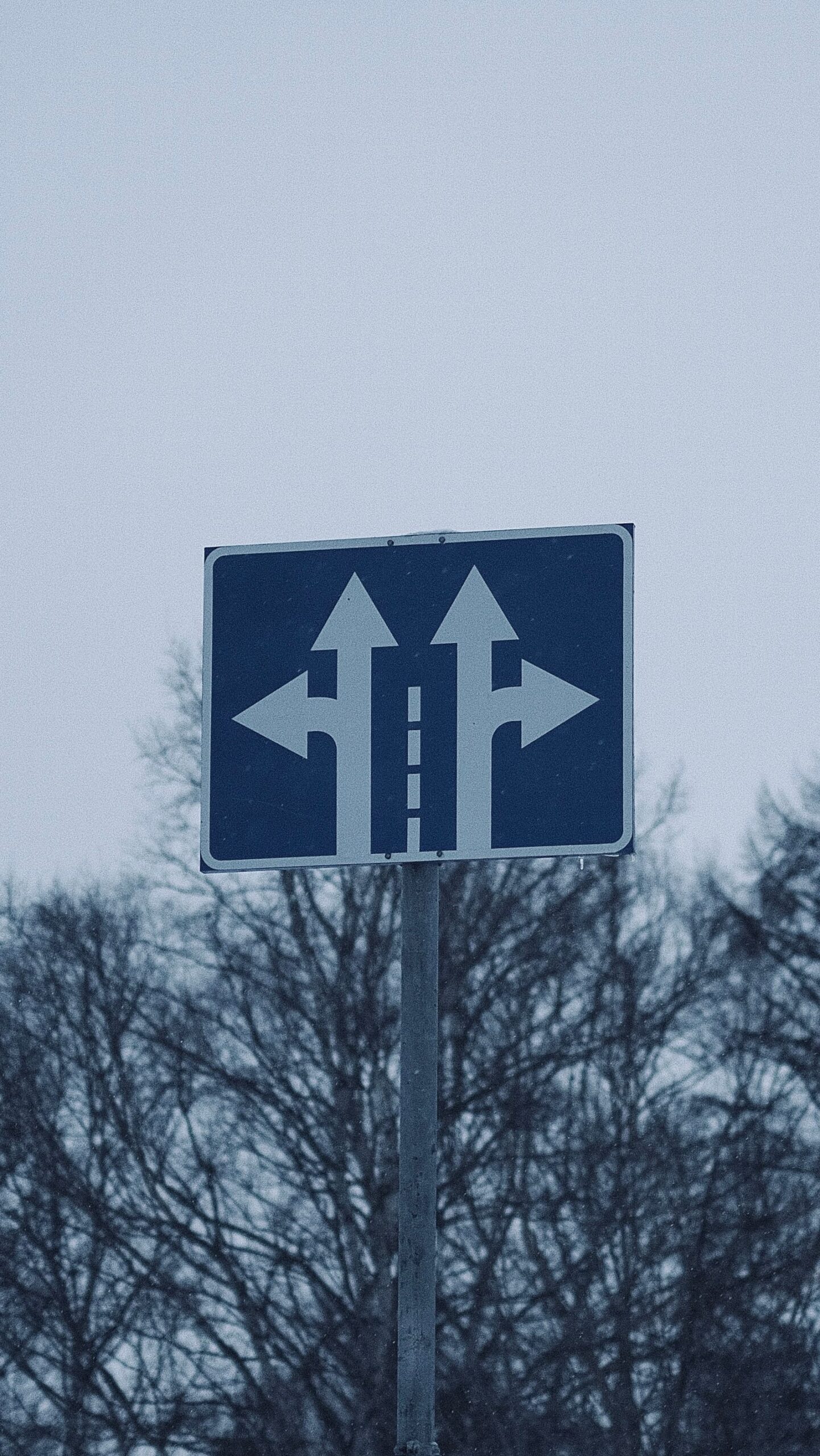 Directional road sign against bare winter trees