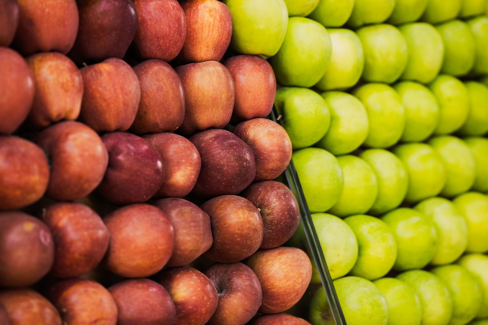 Two apples in red and green contrast