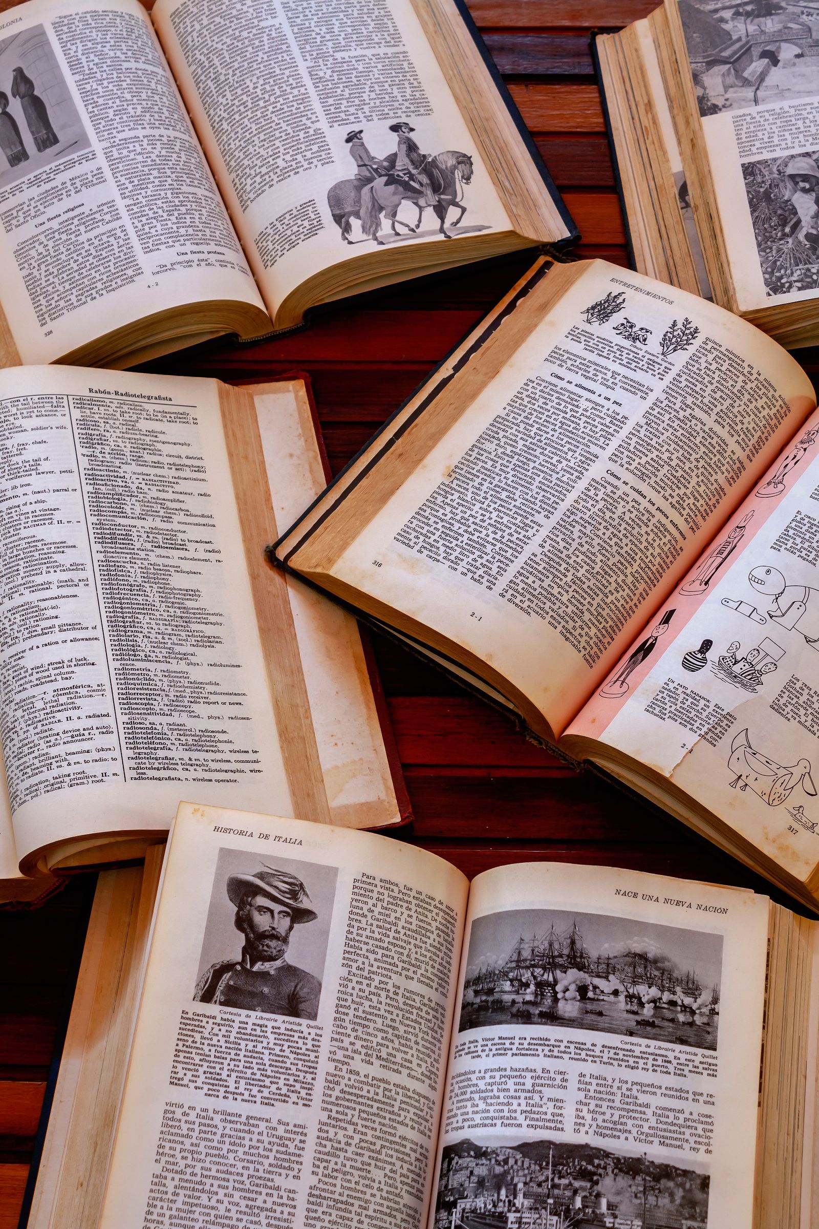 Open dictionary book pages close-up