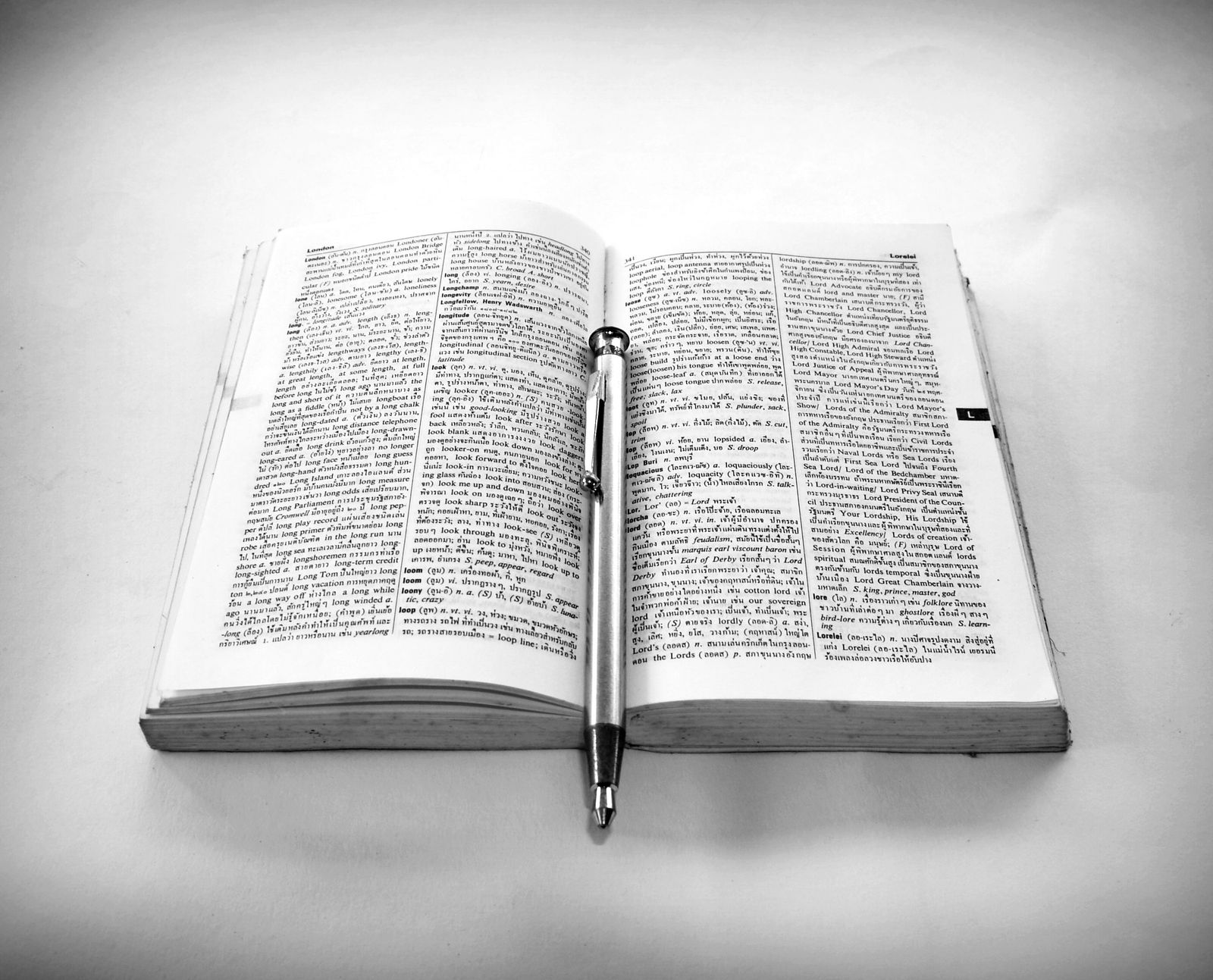 Close-up of an open dictionary page