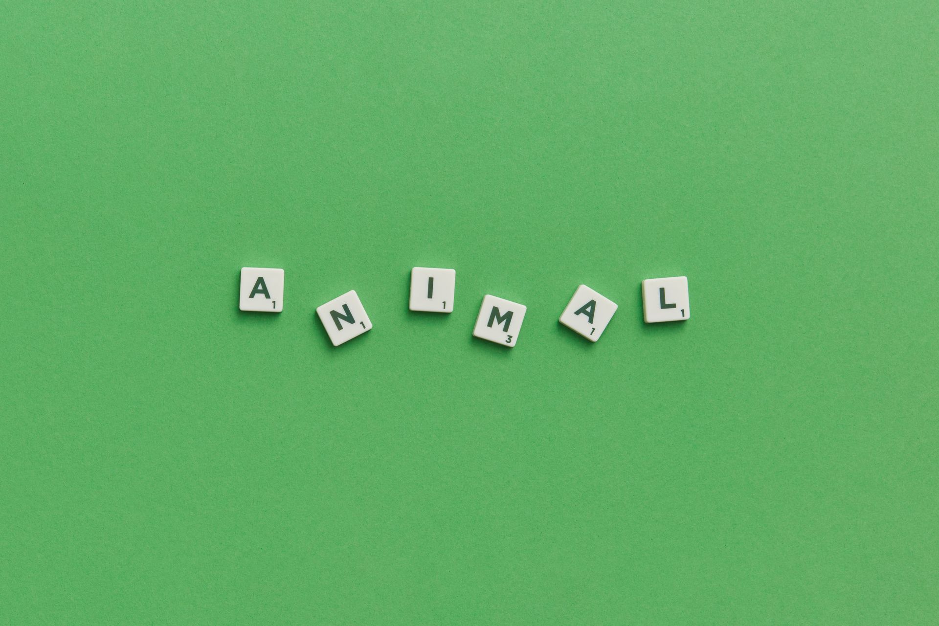 Scrabble tiles spelling the word animal on a green background