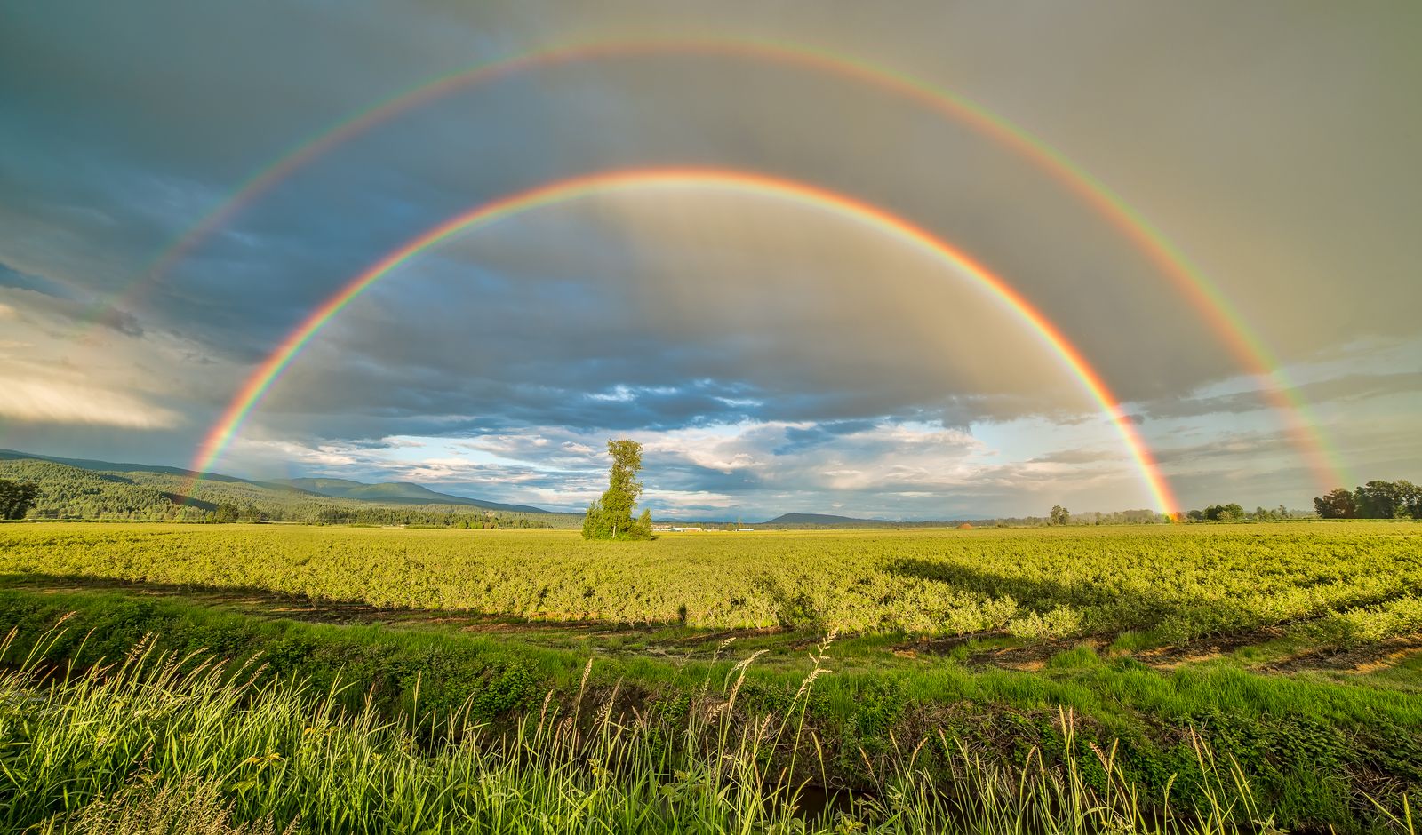 Stunning double rainbow arches over vibrant farmland under cloudy skies