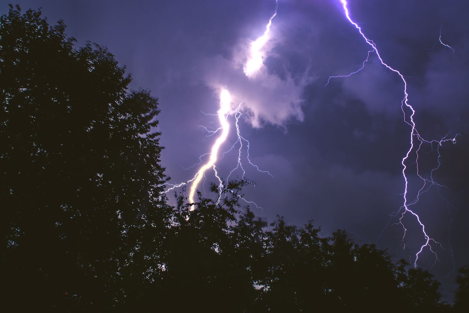 Powerful lightning storm illuminating the night sky, with silhouettes of trees