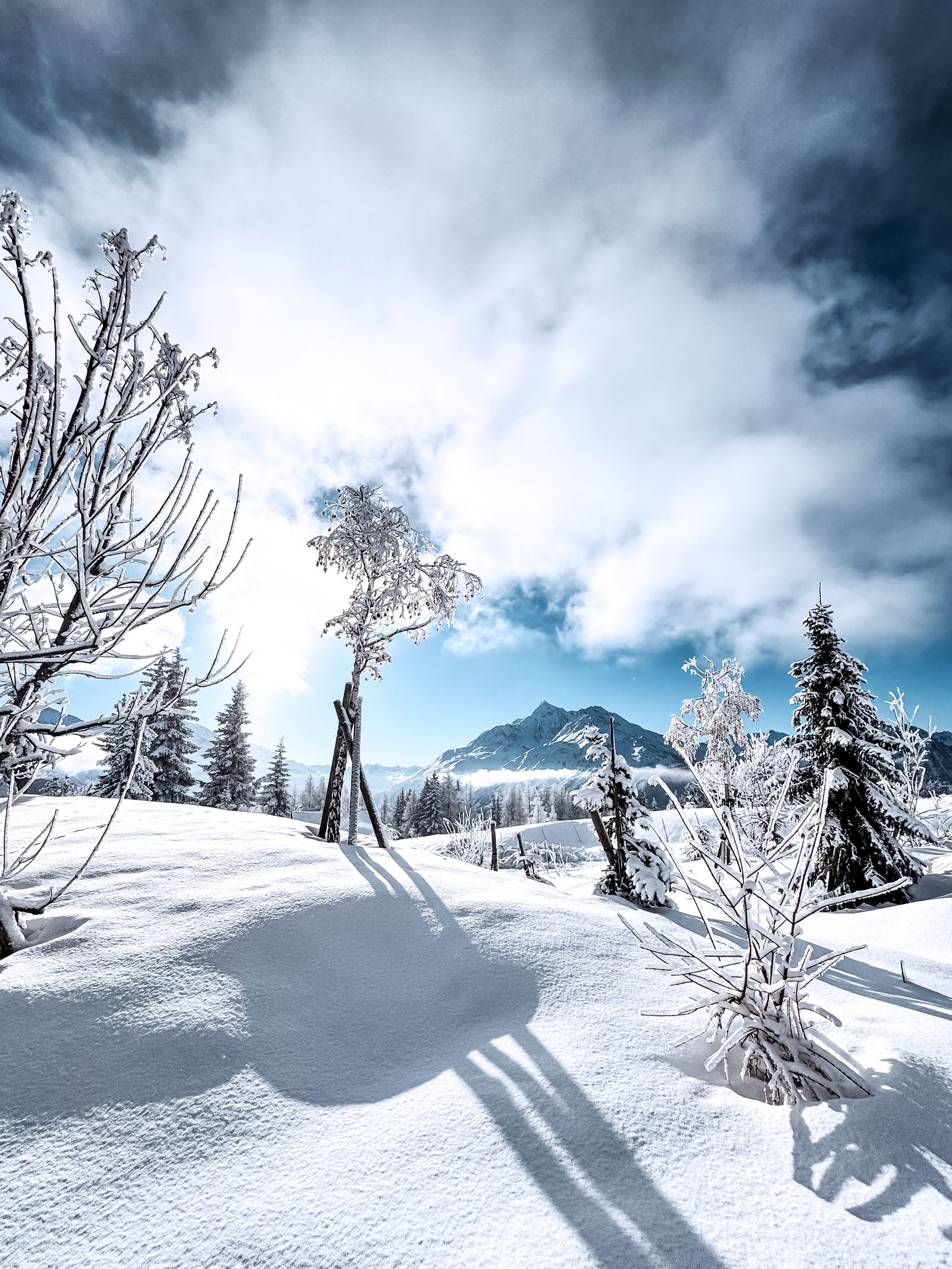 Snow-covered winter landscape