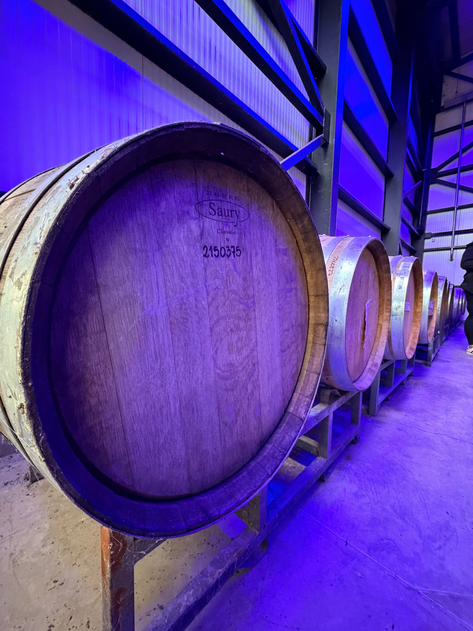 Oak wine barrels in a winery — der Weinkeller