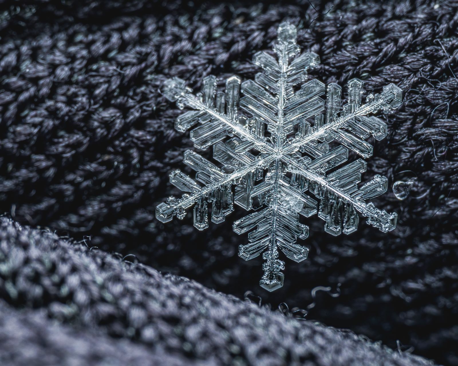 Macro shot of a delicate snowflake on dark knitted fabric