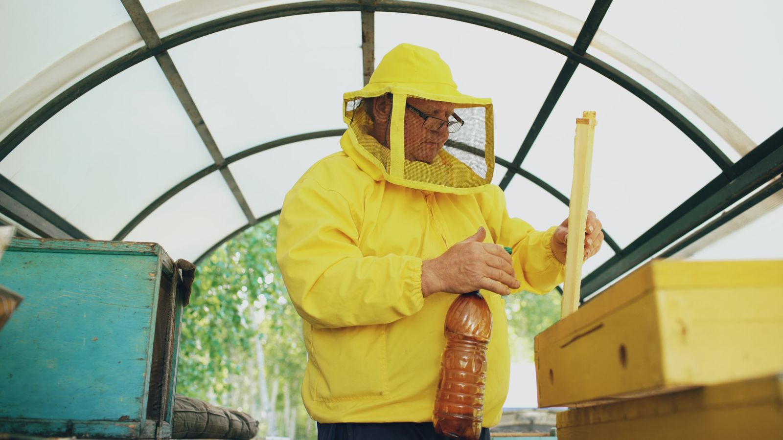 Beekeeper in protective suit collecting honey (der Honig)