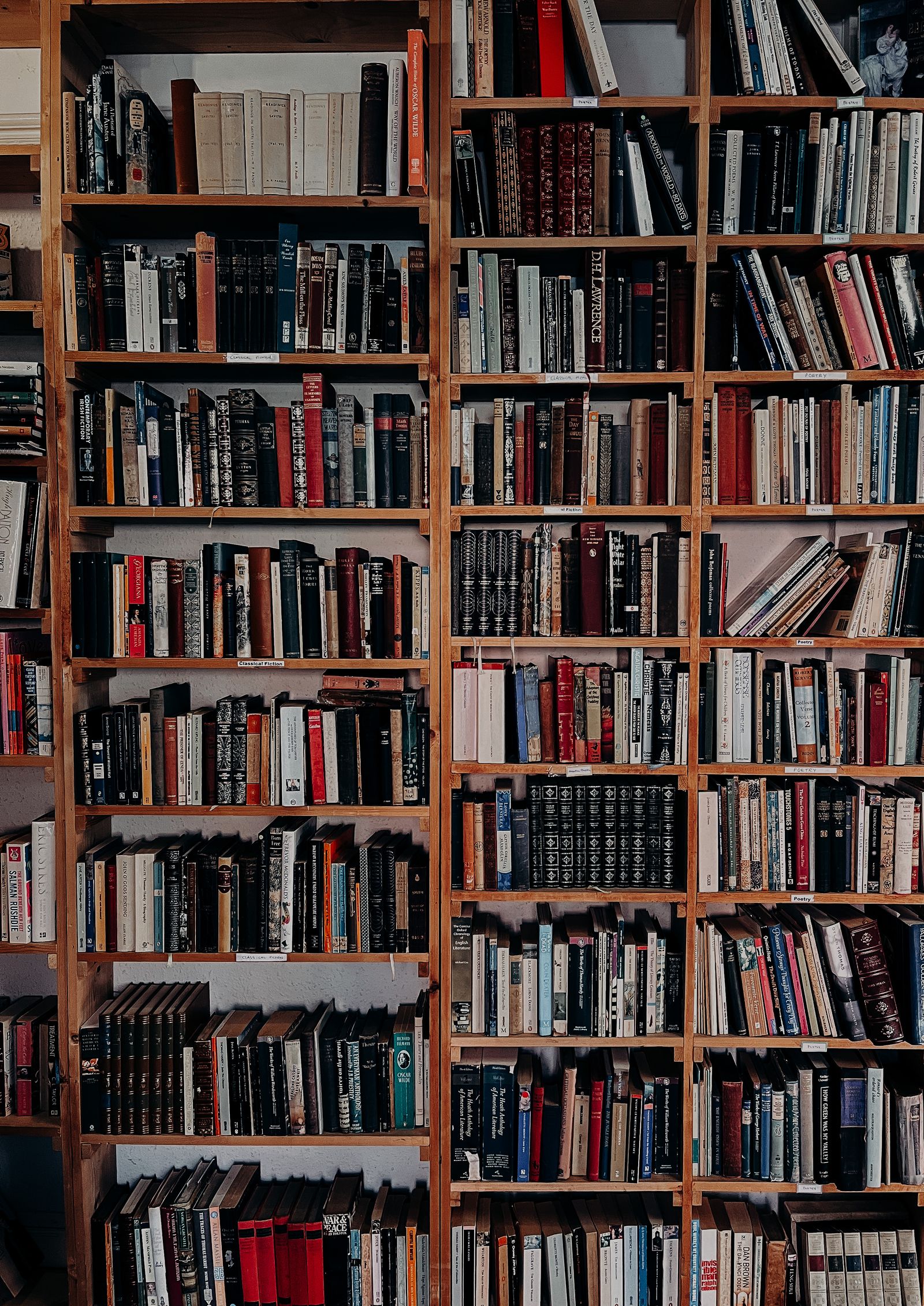 Library bookshelves full of books