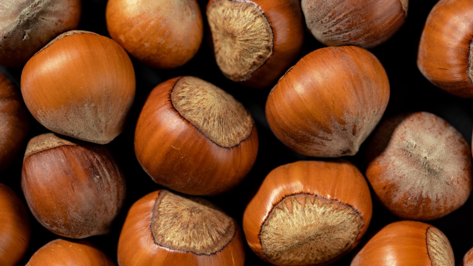Hazelnuts