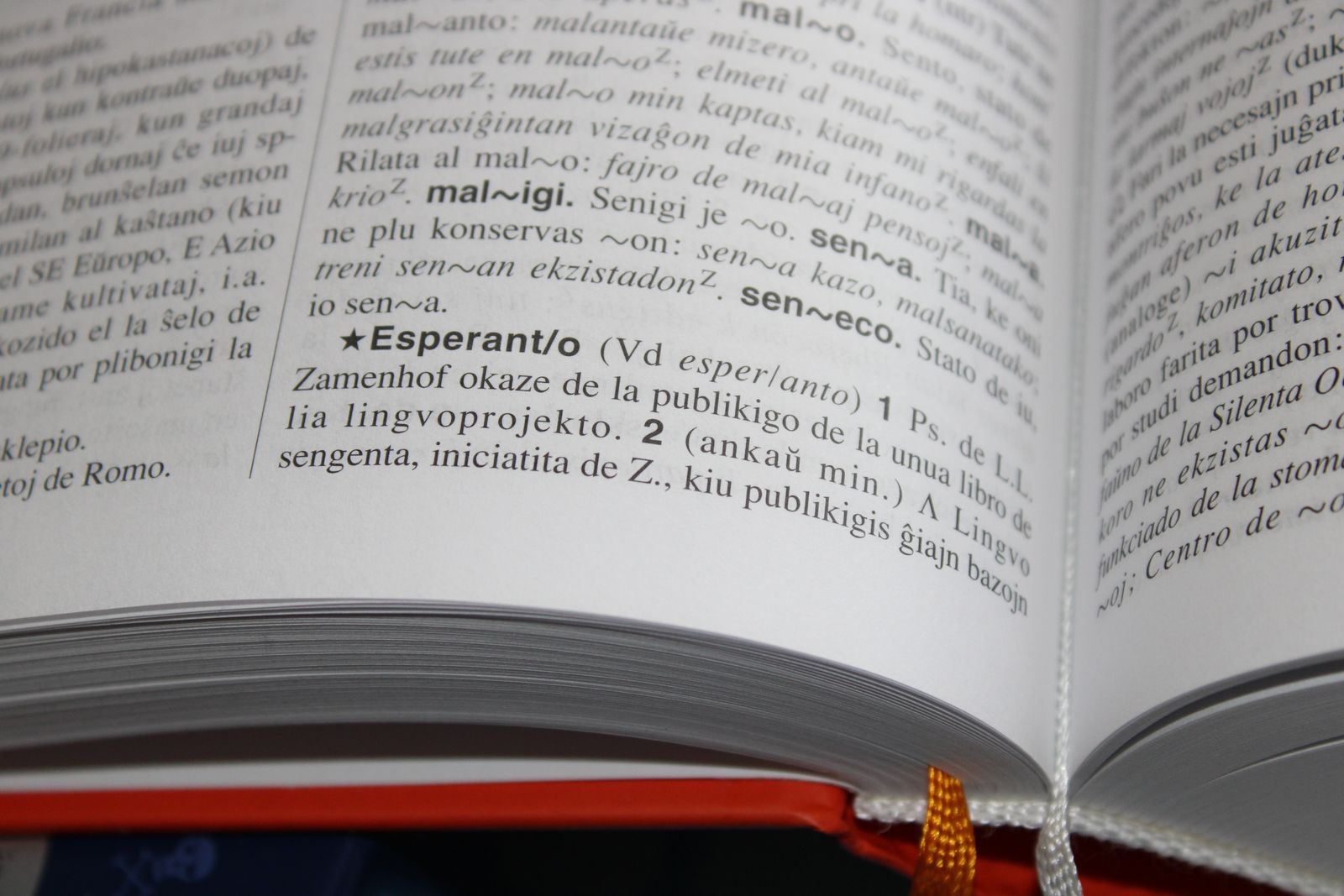 Woman turning the pages of a dictionary