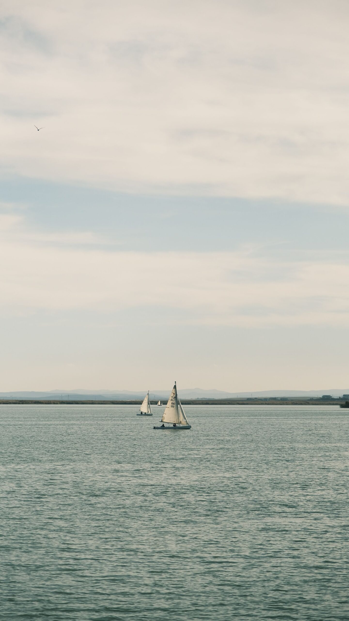 Two sailboats glide gracefully under a calm, cloudy sky on open water.