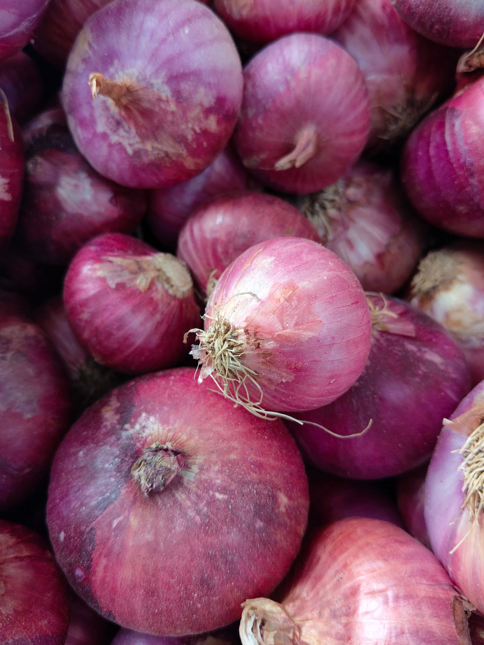 Fresh red onions at a market