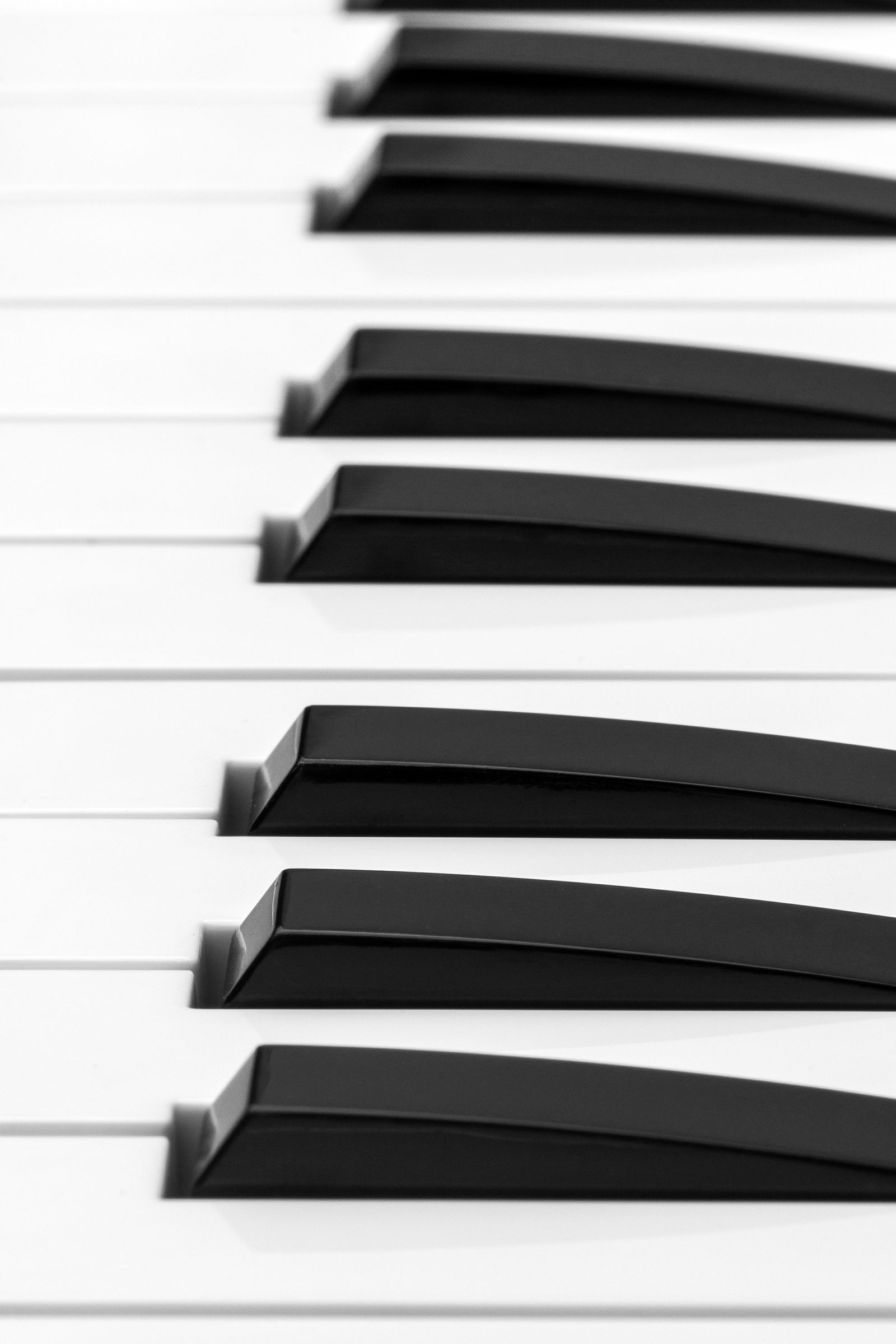 Piano keyboard in close-up detail