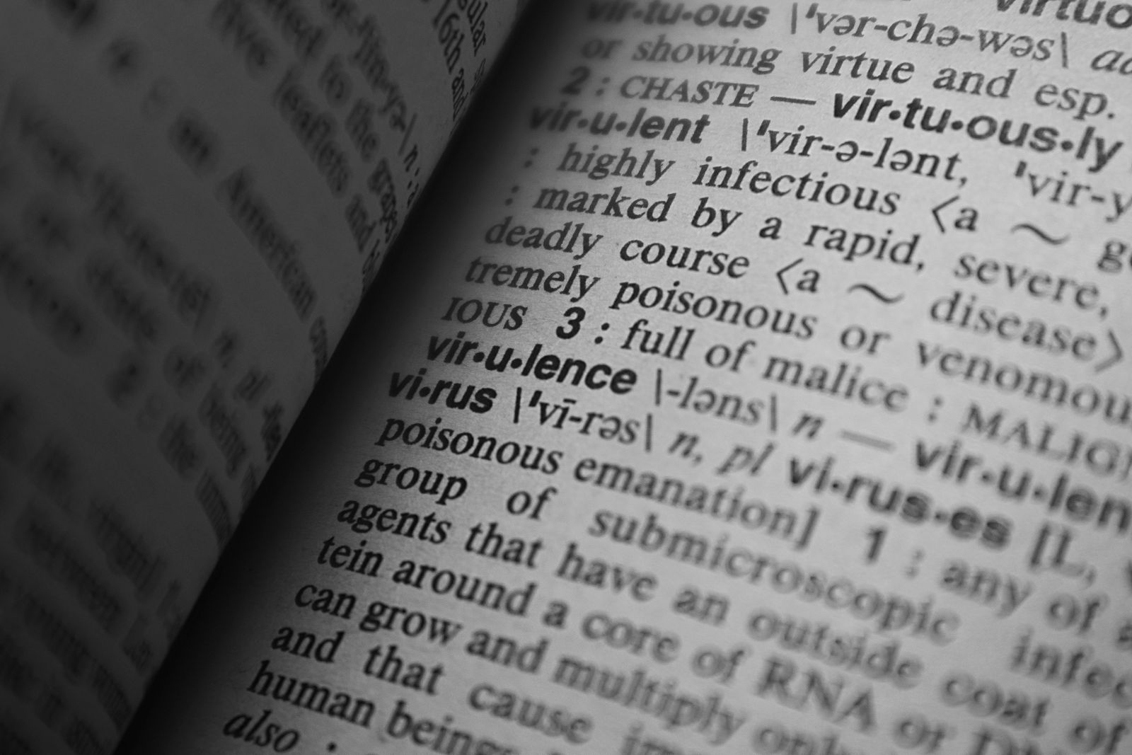 Black and white close-up of a dictionary page showing word definitions