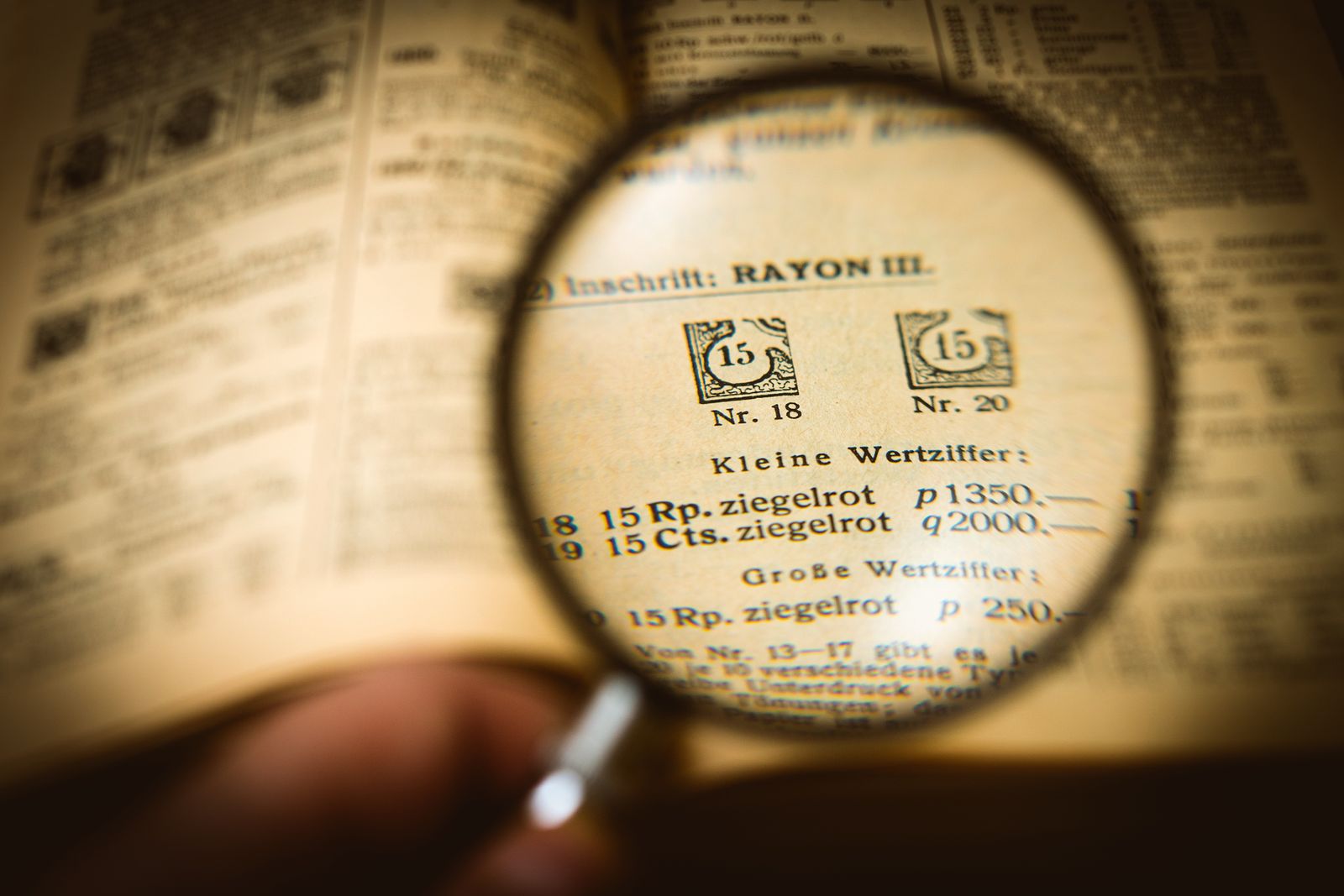 Close-up of printed text on a book page