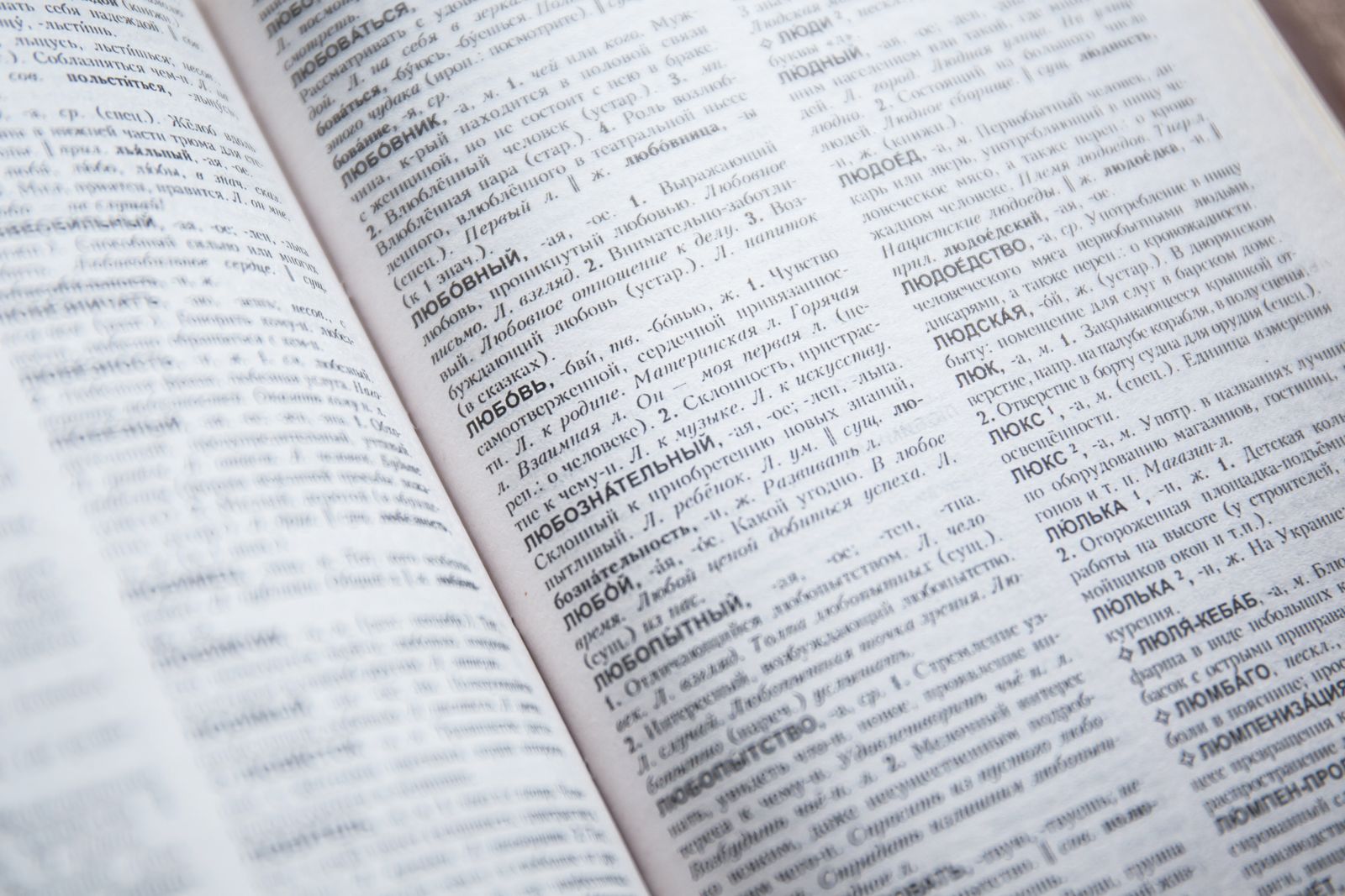 Close-up of dictionary pages