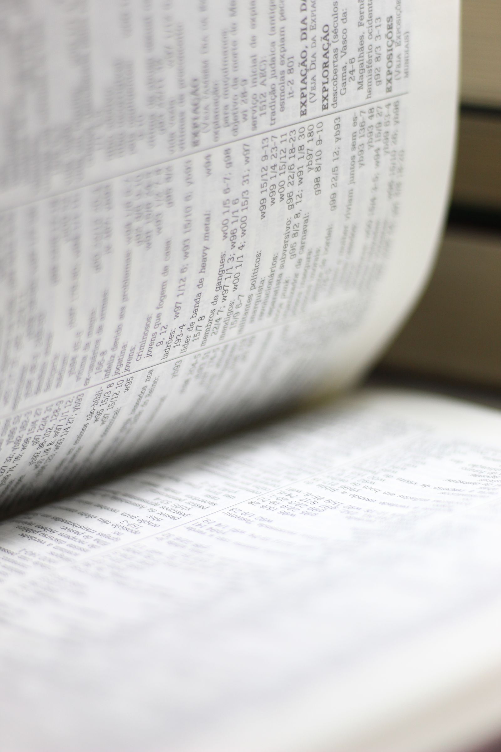 Open dictionary in a flat lay view