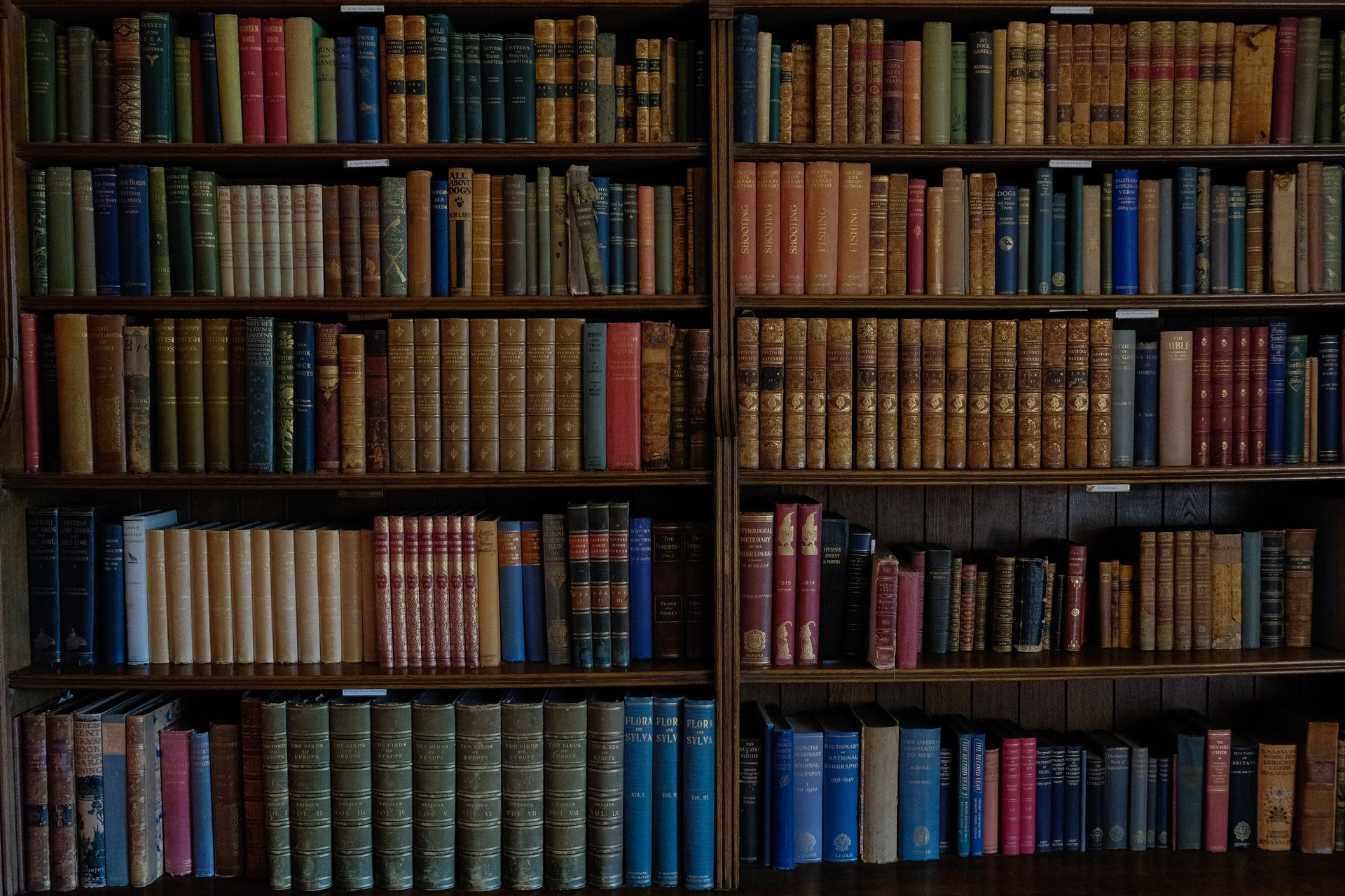 Old colorful books stacked on wooden shelves in a library