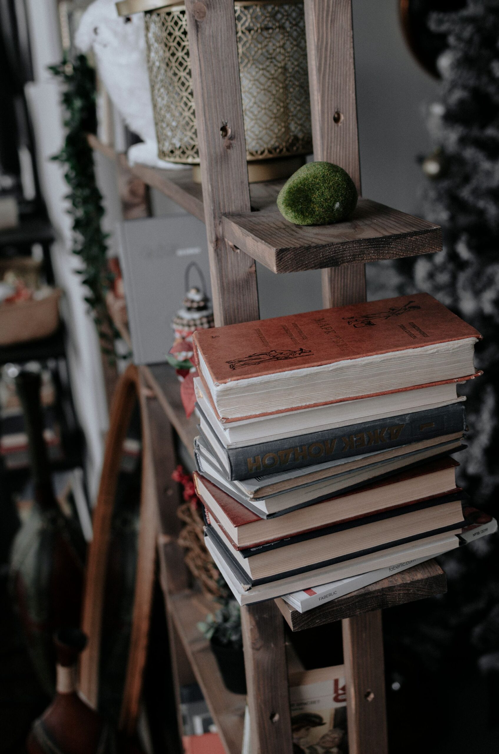 Rustic wooden shelf laden with vintage books